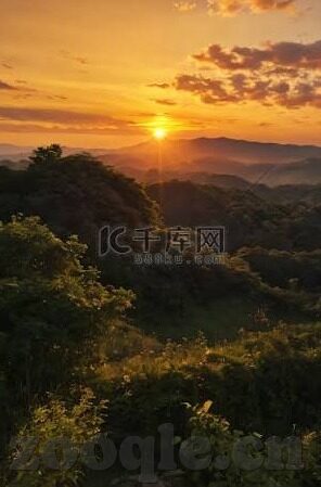 精品黑人一区二区三区-探索网络世界的多元文化视角，黑人社区的数字化呈现