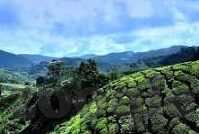 日韩av在线首页-日韩AV在线首页，网络世界的多元文化探索